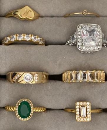 Ring collection in a velvet organiser